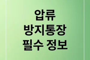 압류방지통장 A to Z: 개설 방법부터 유의사항까지 한눈에