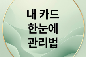 내 카드 한눈에: 발급부터 금리, 해지까지! 카드 관리 A to Z